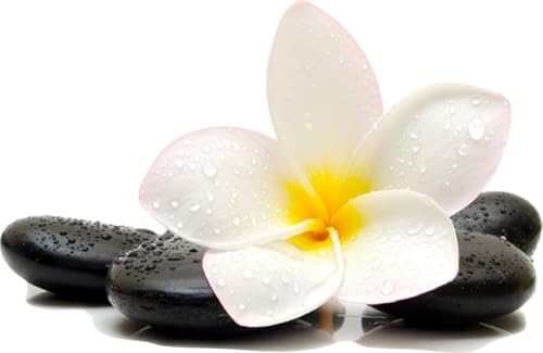 Stickers muraux déco Zen Orchidée blanche Galets Dimensions: 20x30cm