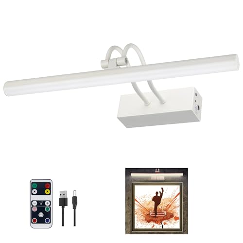 RAIFOOLLY Picture Light,16" Battery Picture Lights for Wall,2Colors Remote Control Display Art Lighting with Timer and Dimmable for Painting,Frame,Portrait,Dartboard-WH