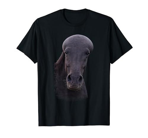 Black Bald Horse Meme T�V���c