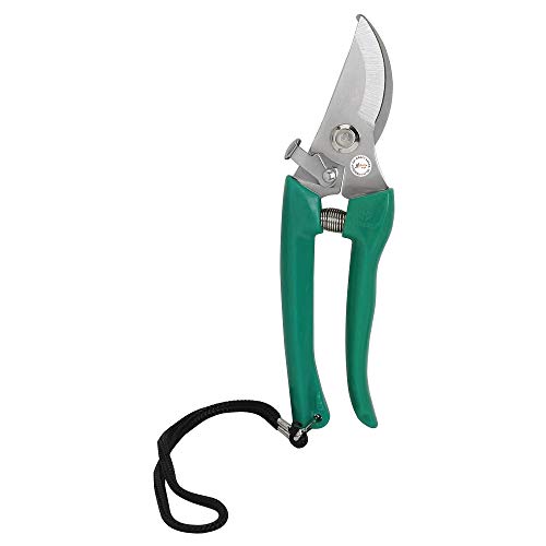 Kraft Seeds by 10CLUB Assorted Hand Pruner Cutter – 1 Pc (Steel Blades) Heavy Duty Gardening Cutter Tool | Plant Cutter for Home Garden | Wood Branch Trimmer | Grass Cutting Accessory Kraft Seeds by 10CLUB Assorted Hand Pruner Cutter – 1 Pc (Steel Blades) Heavy Duty Gardening Cutter Tool | Plant Cutter for Home Garden | Wood Branch Trimmer | Grass Cutting Accessory