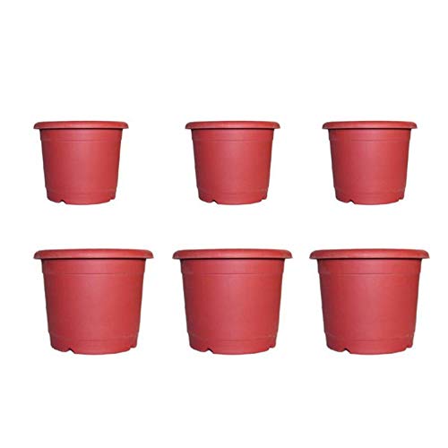 See full amazon price history chart for Synergy Plast Round Shape Plastic Flower Pot, Pack of 6 (14 Inch and 12 Inch, Burgandy) Synergy Plast Round Shape Plastic Flower Pot, Pack of 6 (14 Inch and 12 Inch, Burgandy) (B08262C971) Amazon Price History, Amazon Price Tracker