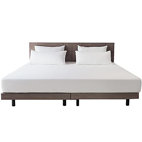 yxbhAh}bgXz {bNXV[c v~ARNV Ch100% zedl TeXgCv [1]240×195×}`30cm(Z~_u+Z~_u) t@~[TCY }bg25cm܂ sAzCg