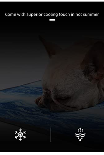 BePetMia Tappetino Rinfrescante per Cani e Gatti