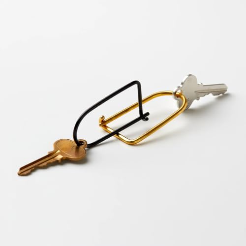 Image of Craighill Wilson Keyring - 2 inch Carabiner Keychain Clip, Key Ring for Car Keys, Lightweight, D Ring Key Organizer