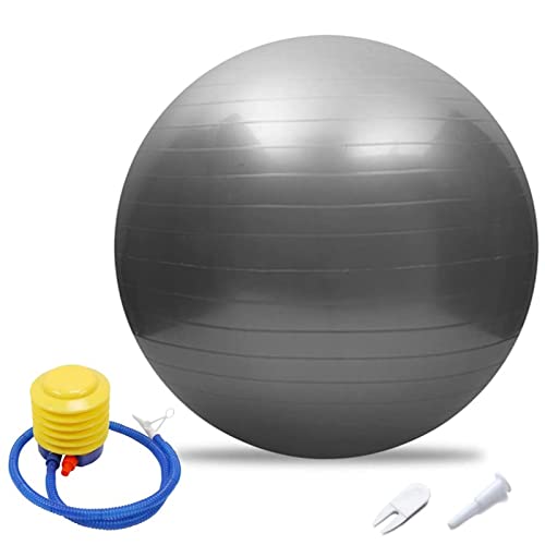 BAIAA Palla Fitness Yoga Palla Pilates, 45-95 Cm, Stabilità, Allenamento Terapia Fisica Palla Parto Yoga, Palla Ginnastica Anti-Scoppio, per Palestra, Pompa Aria Regalo Casa (45cm/17.72in,Grey)