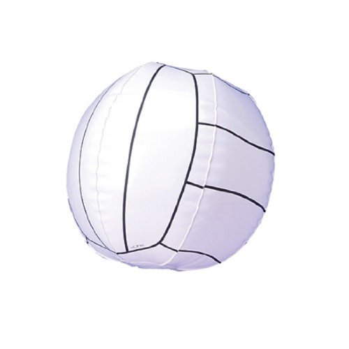 Dozen Inflatable Volleyball Style Beach Balls - //coolthings.us