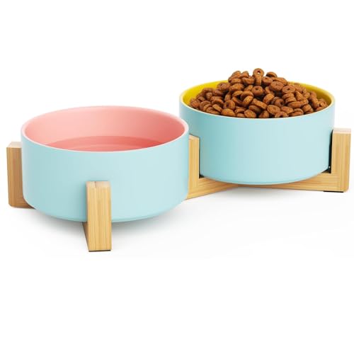 FUTUREORYY Keramik Hundenapf Grün - Rutschfester Futter- & Wassernapf Für Haustiere