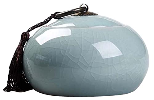 ZEALMAX Recipiente de cerámica para té, caja de almacenamiento de té, juego de té, lata de sellado para café/caramelos, A