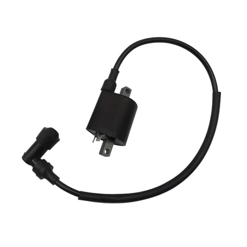 Bobina de encendido para LH 300 400, pieza de repuesto para motor de cuatrimoto EFI y UTV 3