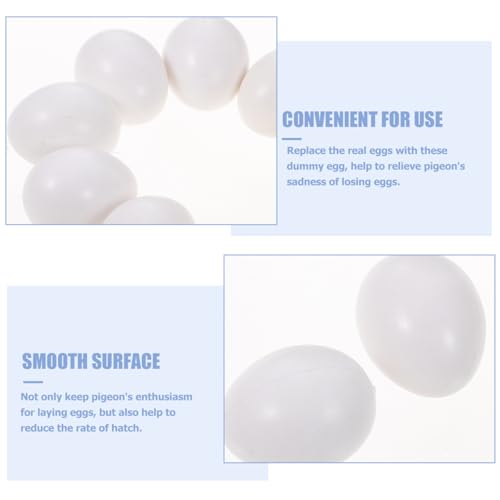 Warmhm 10stücke Künstliche Vogel Eier Simulation Eier Zuchtwerkzeug Für Wellensittiche Und Nymphensittiche Praktische Requisiten Für Vogelaufzucht