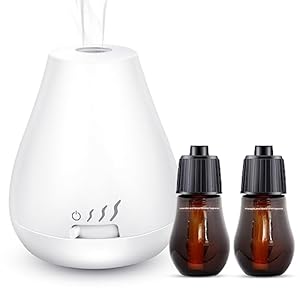 Diffuseur d’Huiles Essentielles sans Eau: Mini Diffuseur Aromathérapie Eau 2 Recharges d’Huiles Essentielles – Lavande, Fleur d’Amandier & Menthe Sauvage, Pêche, Ananas pour Maison Chambre Bureau
