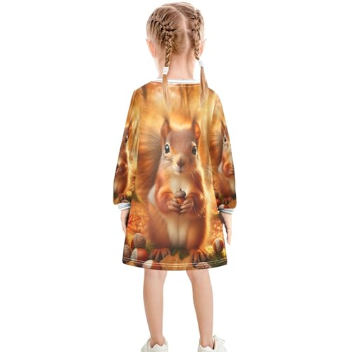 Cute Corgi Dog Fashion Girls Fall Sweater Dress 2t Girl Winter Clothes Long Sleeve Floral Dress for Girls4