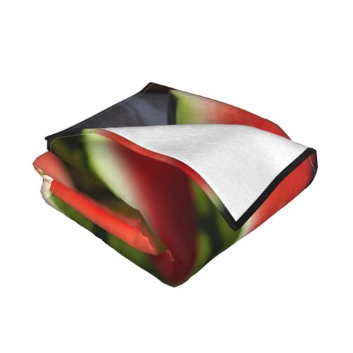 Couverture polaire imprimée pastèque en flanelle pour cocooning