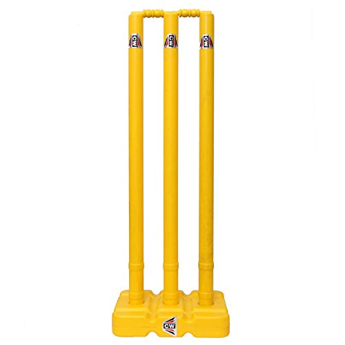 CW Bonzer Kit de cricket pour petits garçons avec sac de transport et kit de sport pour tous les groupes d'âge