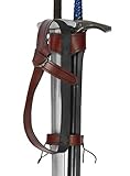 Andracor