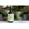 Handcraft-Peppermint-Essential-Oil-100-Pure-and-Natural-Premium-Therapeutic-Grade-with-Premium-Glass-Dropper-Huge-4-fl-oz Peppermint Essential Oil - Huge 4 Fl Oz - 100% Pure and Natural - Premium Grade Essential Oil for Diffuser and Aromatherapy