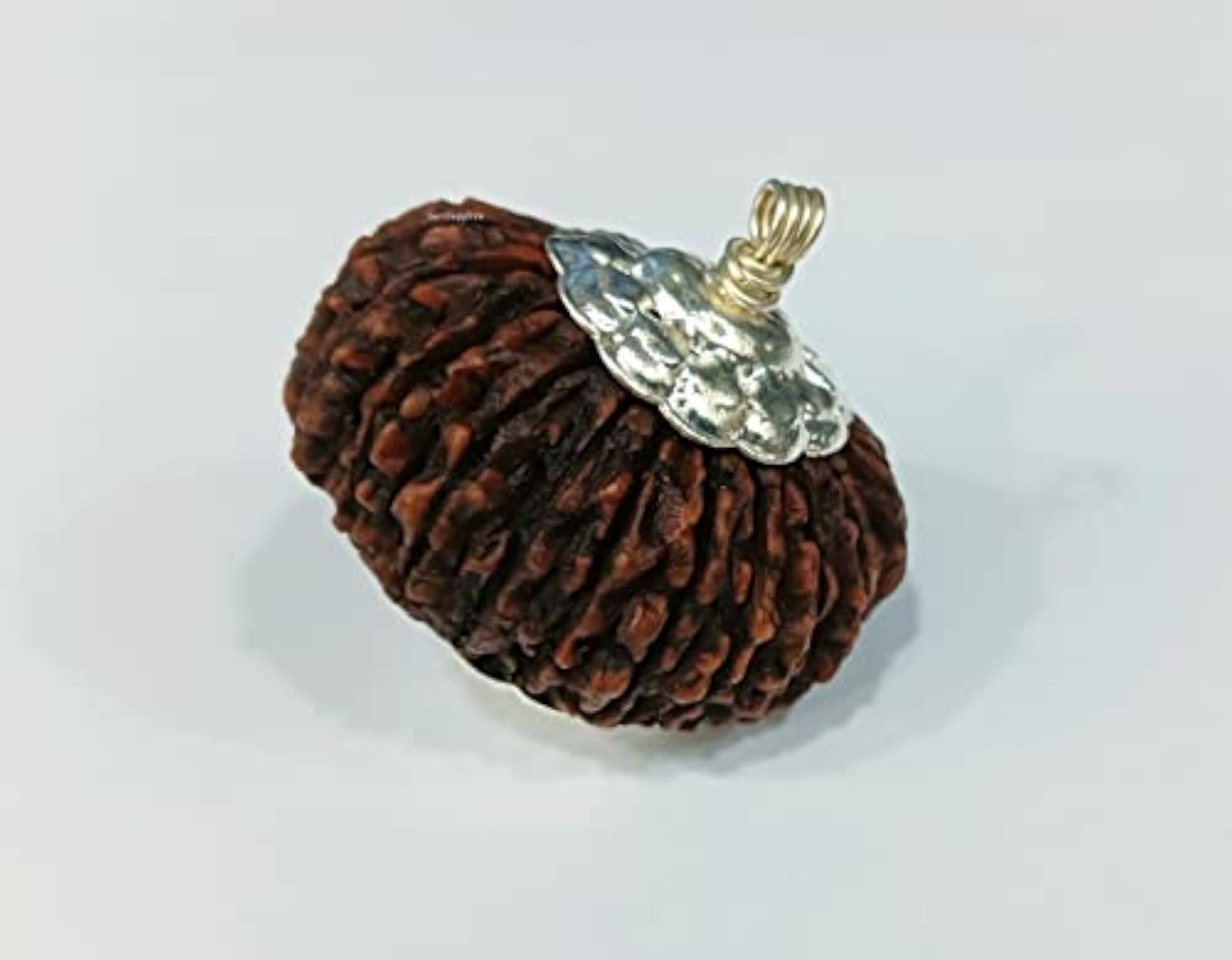 21 Mukhi Rudraksha, Lab Certified for Women