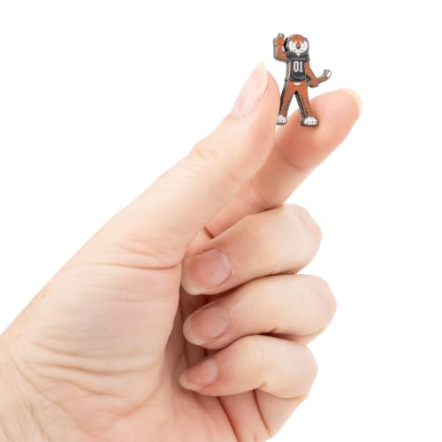 Image of Desert Cactus Auburn University Magnetic Metal Lapel Pin (B)