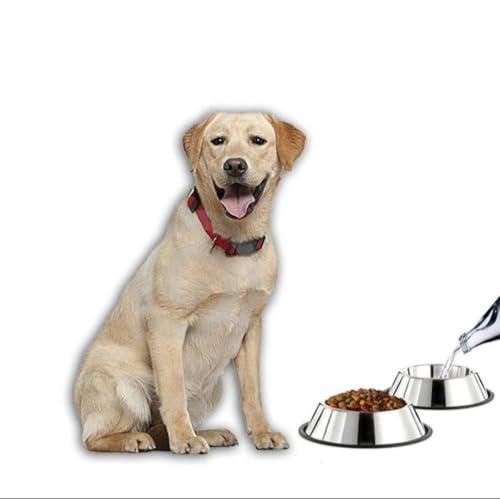 Image of Pet & Vet Stainless Steel Pet Bowl,500Ml Pack of 2, [Cat,Dog]