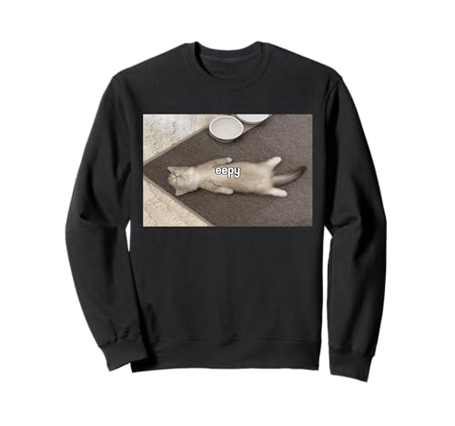 Eepy Cat Meme Funny Sleepy Cat Lover Unhinged Meme Humor Sweatshirt