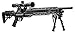 Benjamin Armada BTAP25SX .25- Caliber Pellet PCP Hunting/ Target Air Rifle And Scope, Black