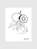 ZYANART - Dibujo de Pablo Picasso para decoración de pared, póster en blanco y negro, sin marco, n.º 69 (kiwi Fruit 2)
