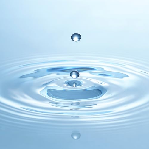 The Resonance of Peace: A Quantum Meditation for Healing