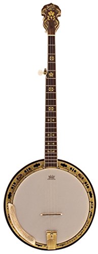 Barnes Mullins BJ500M-Banjo & a 5 corde, in acero