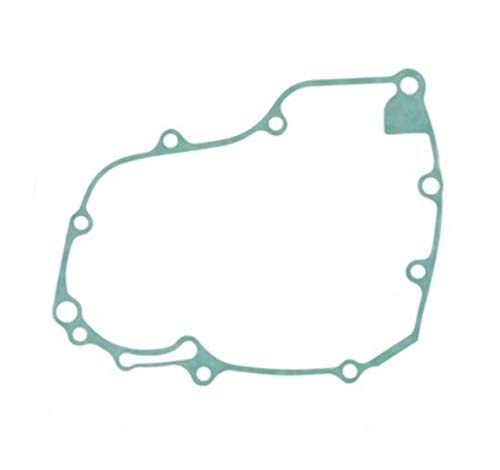 Guarnizione coperchio alternatore stator