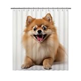 Ganshan Bi Pomeranian Dog Shower Curtain for Bathroom Lovely Dog Puppy Pet Animal Print Bath Curtains Home Decor with 12 Hooks 66x72 Inch Style 2