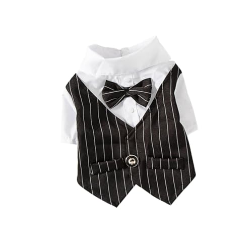 HIAKDOFT ybgp^LV[hX[c tėp p[eB[ yʂŉKȒSn Lp tH[}ߑ