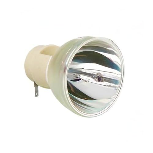 Ampoule nue de projecteur ViewSonic RLC-092 RLC-093 PJD5153 PJD5253 : Corrigez l'image sombre