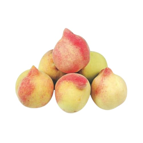 Muda Frutífera de Pêssego Marli Enxertado