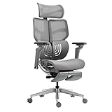 Hinomi X2 Pro Premium Ergonomic Office Chair – Comfortable Mesh Computer Chair With Adjustable Lumbar Support, Reclining Swivel Desk Chair, Retractable Legrest & Headrest For Home Office (Special 3)