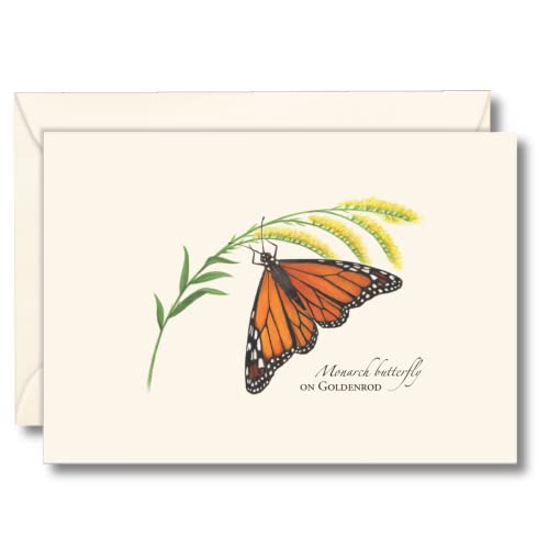 Image of Earth Sky + Water - Monarch Butterfly on Goldenrod - 8 Blank Cards with Envelopes