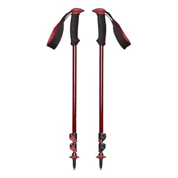 black diamond trail back trekking poles