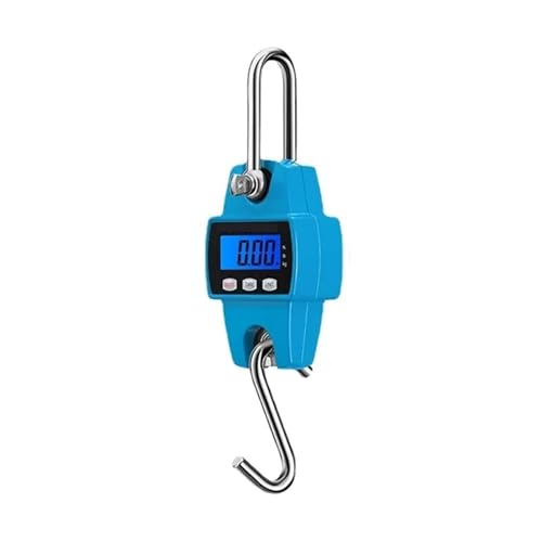 Heavy Duty Electronic Stainless Steel Hook Scale, Digital Crane Scale, Crane Scale, 300kg Crane Scale, Digital LCD Ring Weighing Balance Industrial Scale