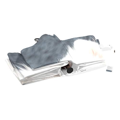 Travel Umbrella Compact Samoyed Dog At Home Windproof Colorful Umbrella Compact Rain & Wind Resistant Compact And Lightweight For Business And Travels #TOP4