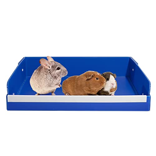 A Guide to the Best Litter Box For Guinea Pigs in 2023