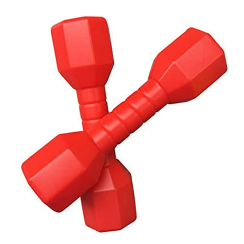 Juego de mancuernas para niños, 2 unidades / juego de juguetes para niños, equipo de fitness, pesas de mano, peso ligero, portátil, para niños, guardería, regalo divertido (rojo)