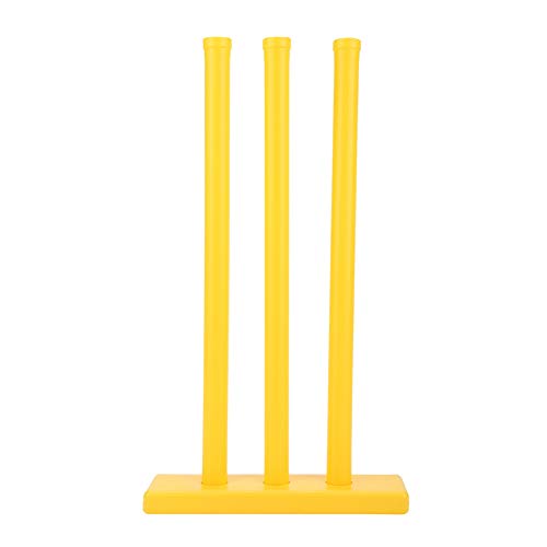Ensemble de cricket pour enfants le cadeau de jeu interactif