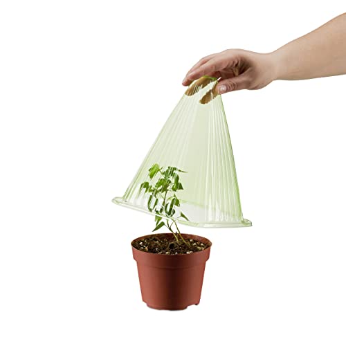 Relaxdays, Groene plantenhoed in 24-delige set, plantenhulp, plantenbescherming tegen vorst, slakken en vogels, PVC… - Image 7
