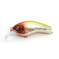 Amazon | レイドジャパン(Raid Japan) SKM (スーパー高速