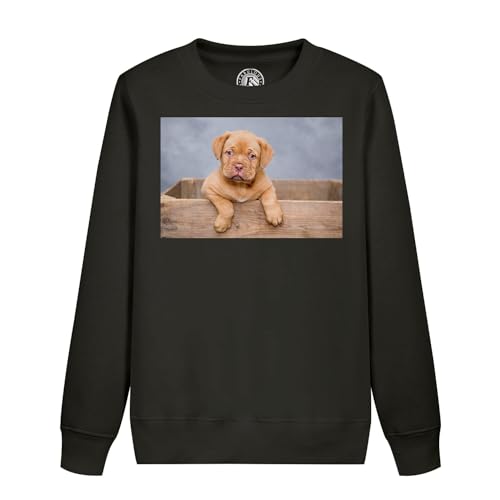 Sweatshirt enfant chiot dogue de Bordeaux pour l'école