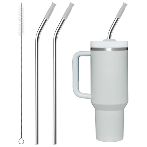 Bluwing Canudo de metal repetível com pontas de silicone para copo Stanley de 1,2 litros, 2 canudos