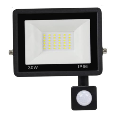 Lumière de capteur mouvement sécurité extérieure 30W étanche pour un éclairage de jardin puissant