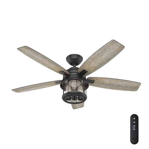 Hunter 52 inch Outdoor or Indoor Ceiling Fan with...