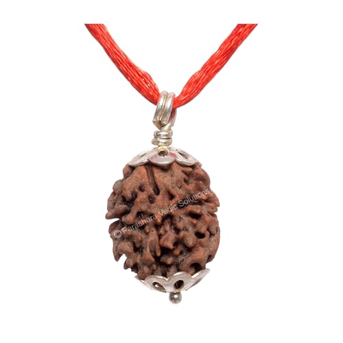 Image of ARKAM Two Mukhi Oval Rudraksha Certified /Original 2 Mukhi Rudraksh /Natural 2 faced Rudraksha with Silver Pendant (Brown) with Certificate and Puja Instructions