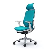 Sylphy C68CBW FSG6 [�u���[�O���[��]