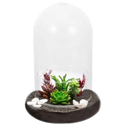 2pcs Cloche Glass Dome with Air Hole and Base, Clear Glass Terrarium Plants Bell Jar Humidity Dome for Smallplants, Home Indoor Tabletop Decoration (No Plants) - Thumbnail 7